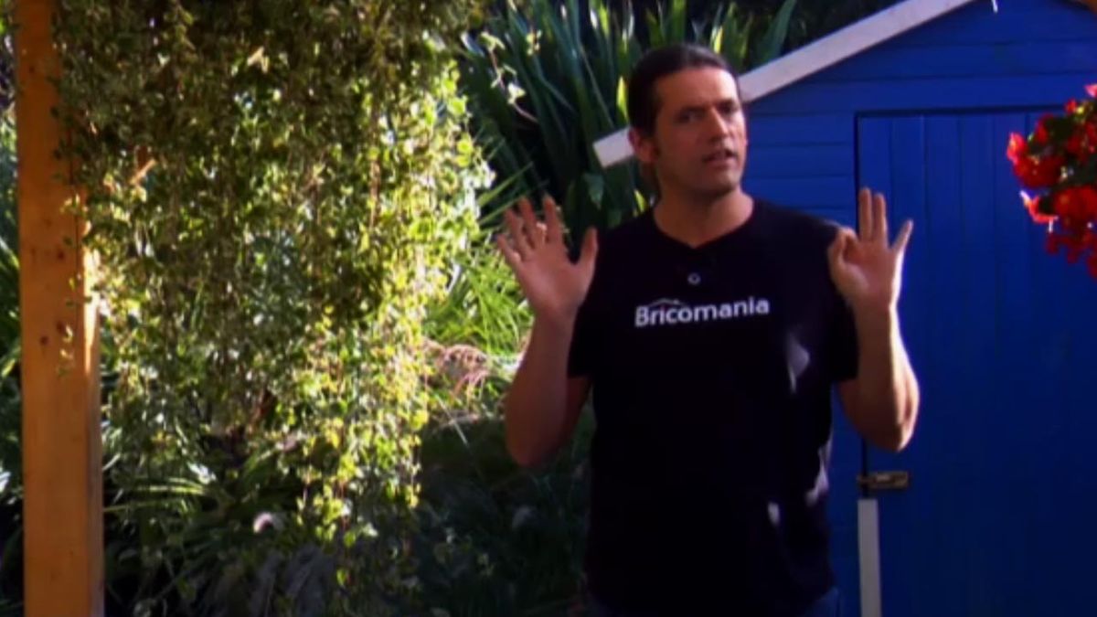 brico 762 planta del inciendo variegada