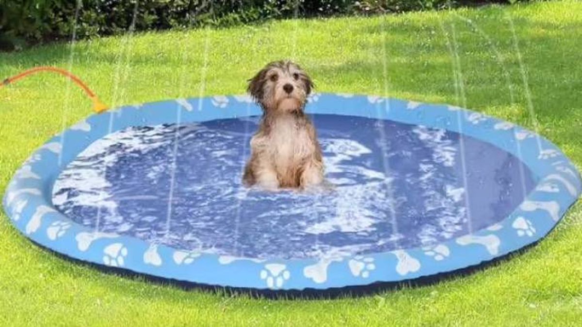 La alfombra de juego con rociador de agua de Decathlon