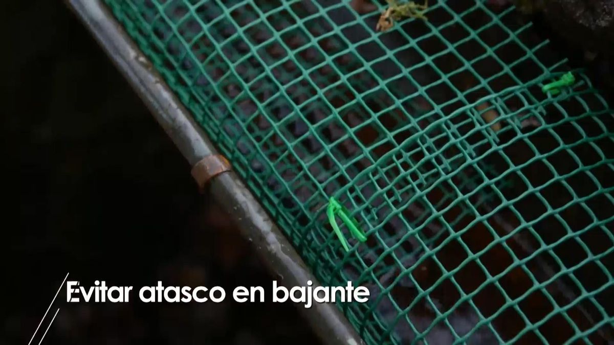 973 briconsejo 2 evitar atasco bajante paso 6