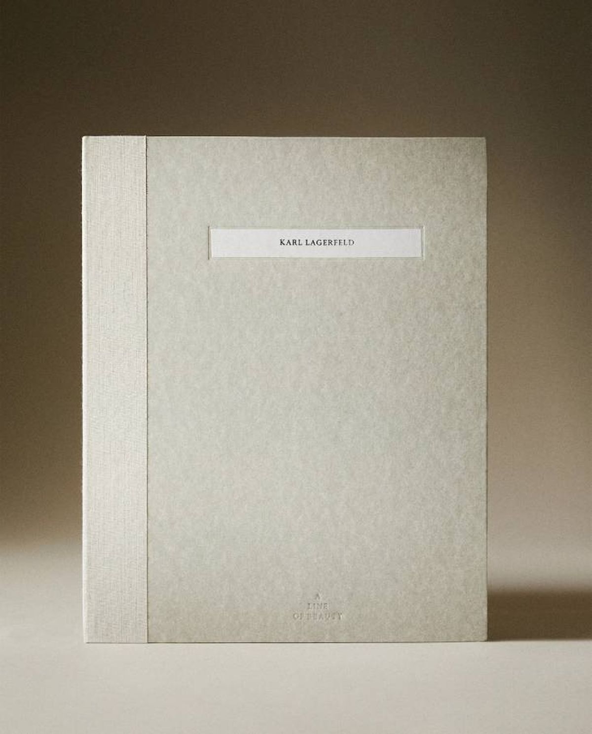 karl lagerfeld libro zara home