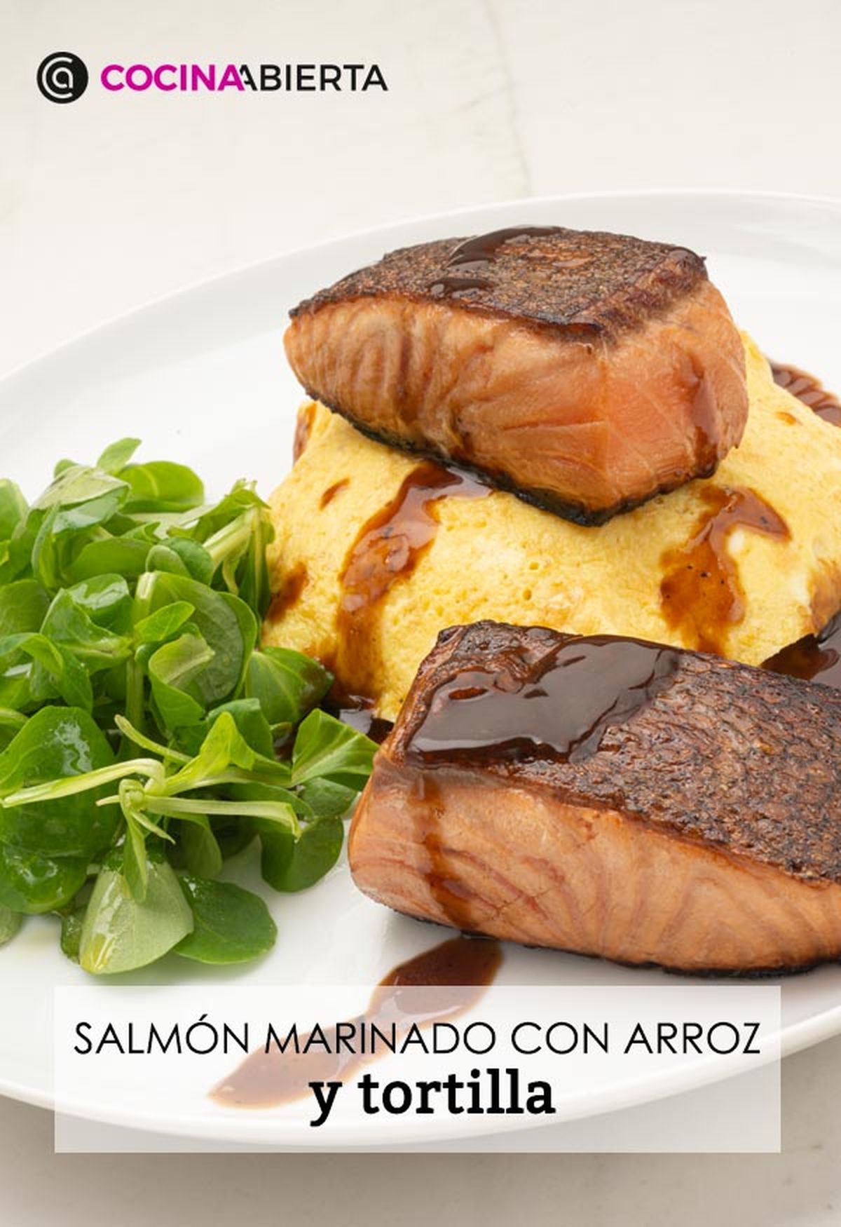 karl6615 salmon marinado v