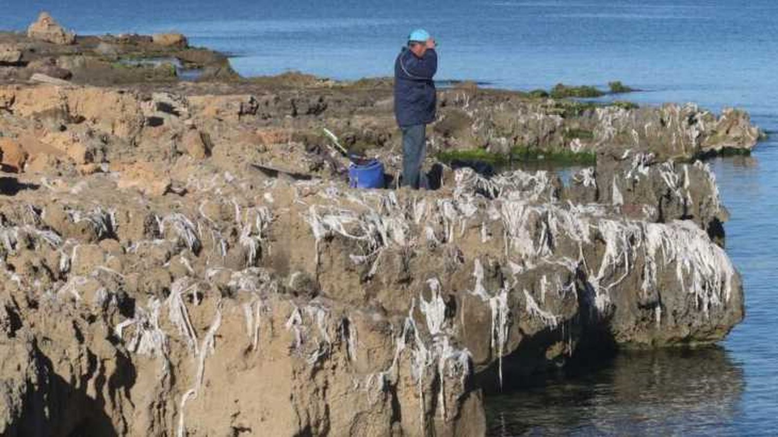 reciclar toallitas humedas contaminacion