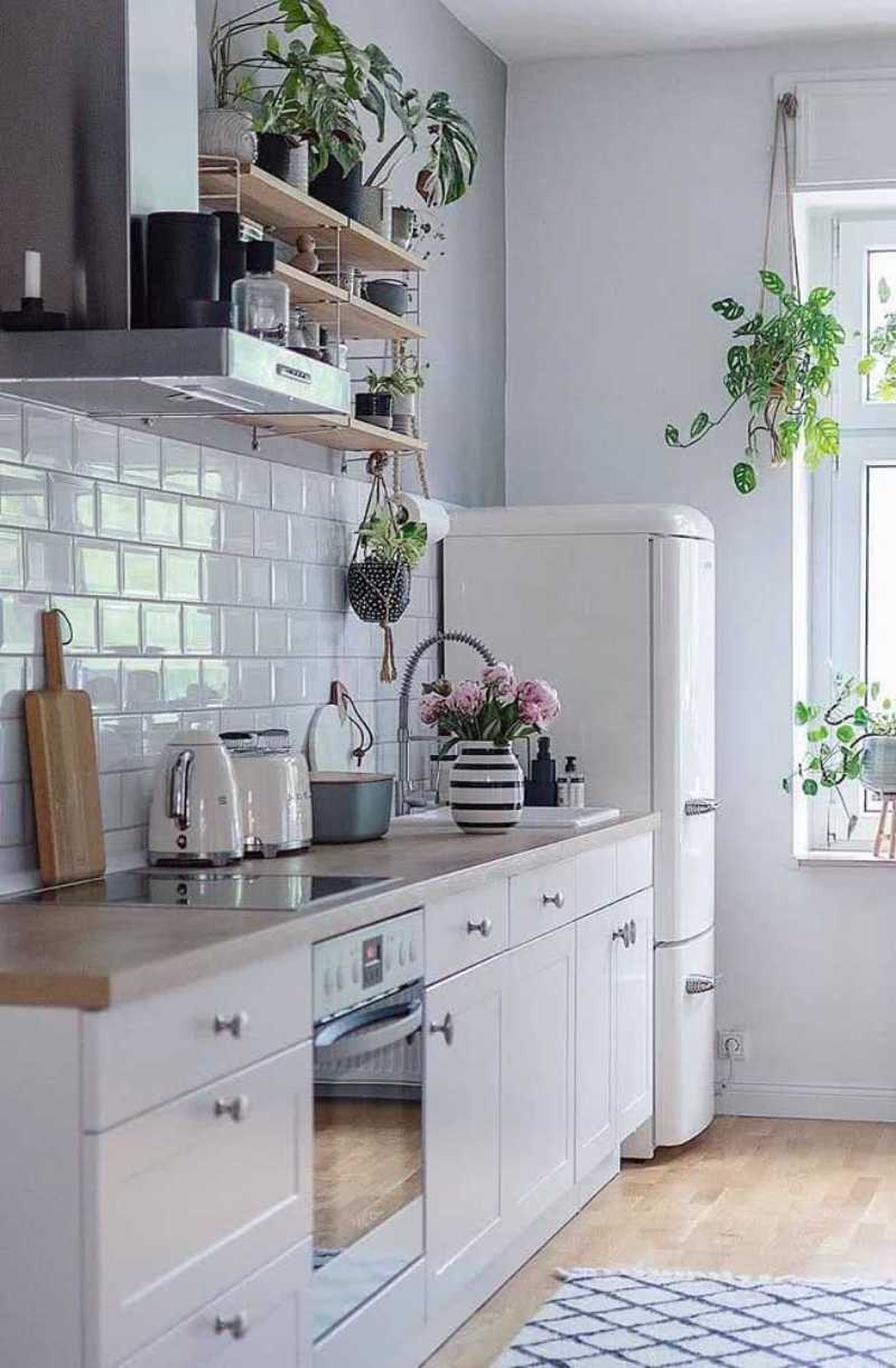 Cocina acogedora decorada con plantas.