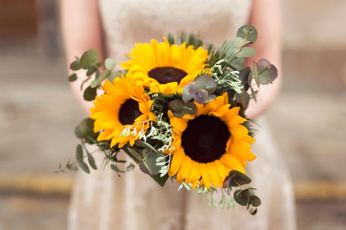 Los girasoles son ideales para una boda informal o al aire libr