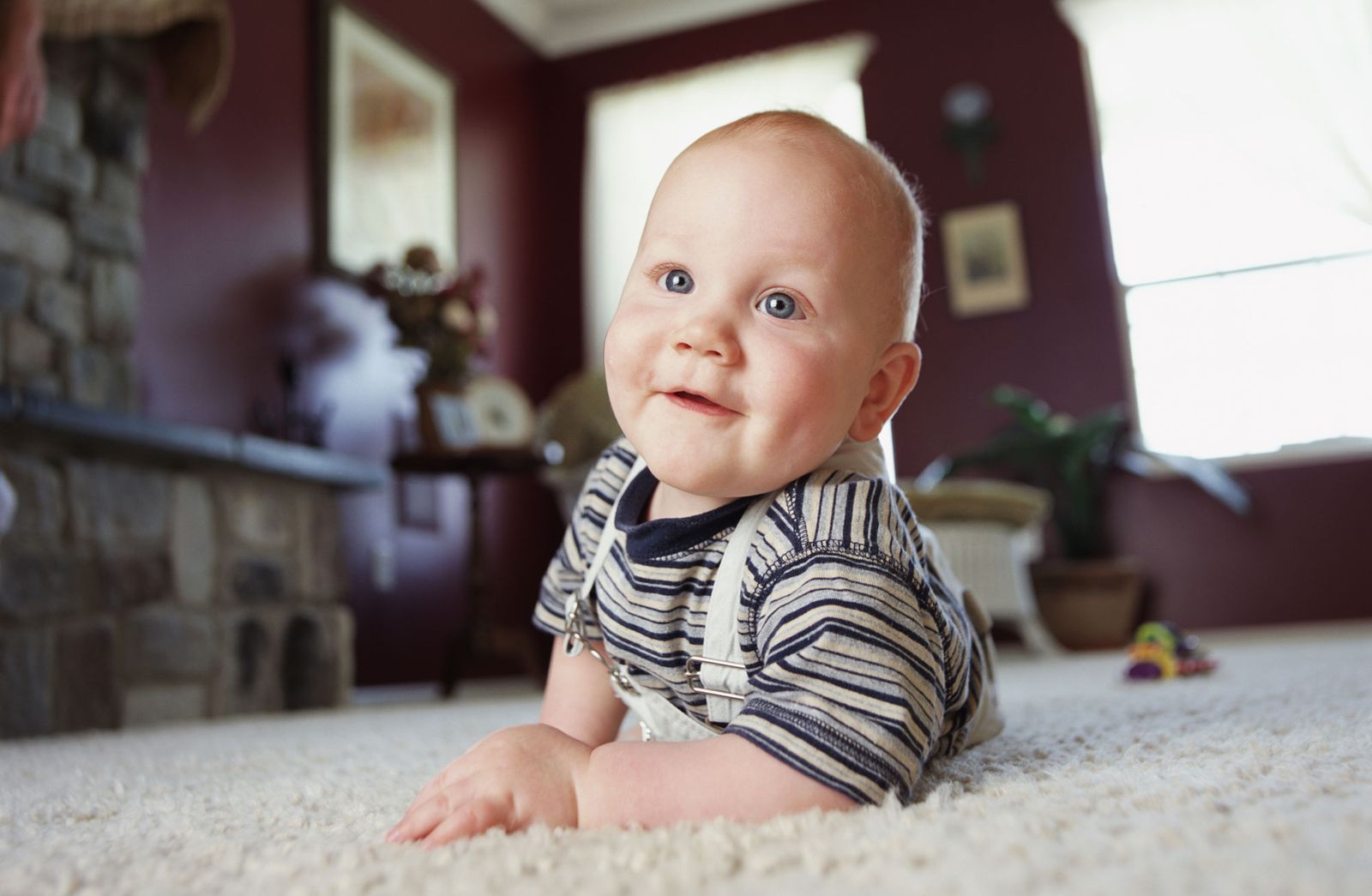 seguridad infantil casa sala estar xl