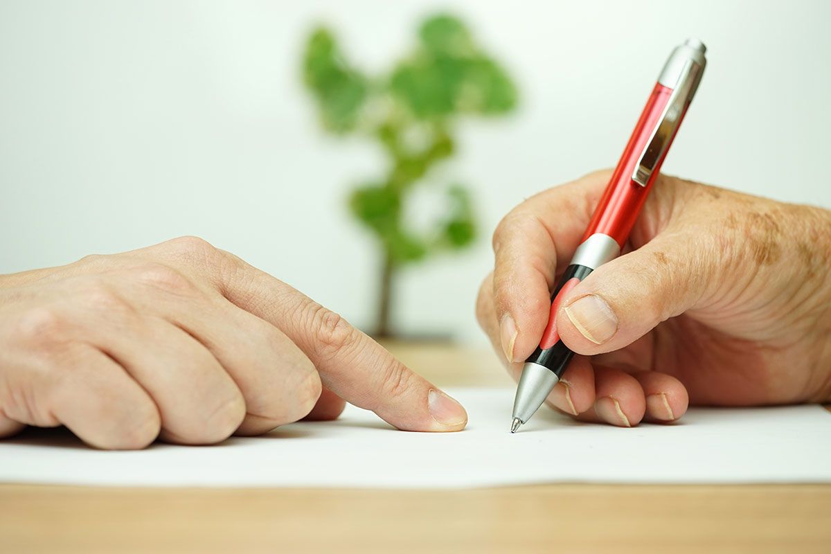 mascotas herencia testamento