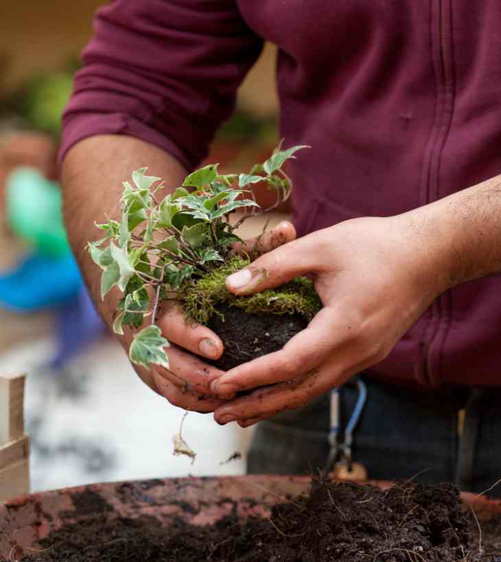 como hacer bola kokedama