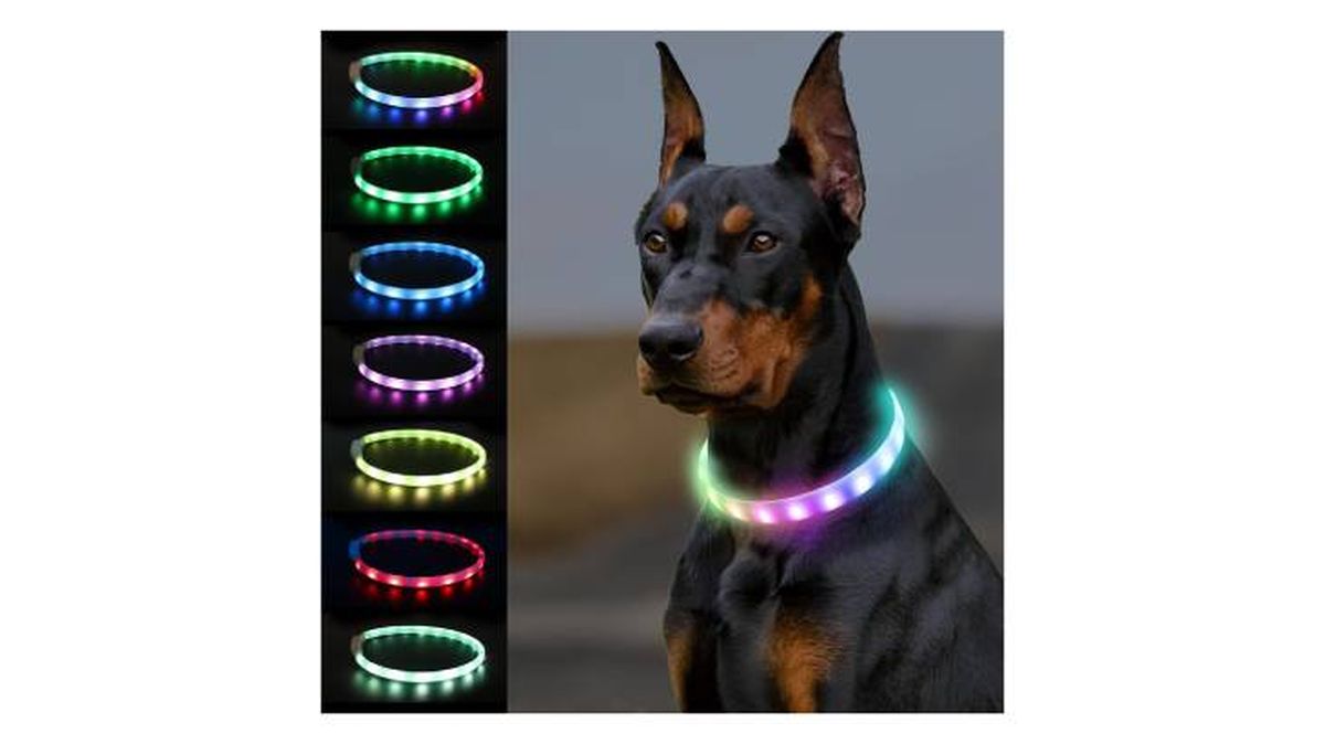 collar led perro joytale (1)
