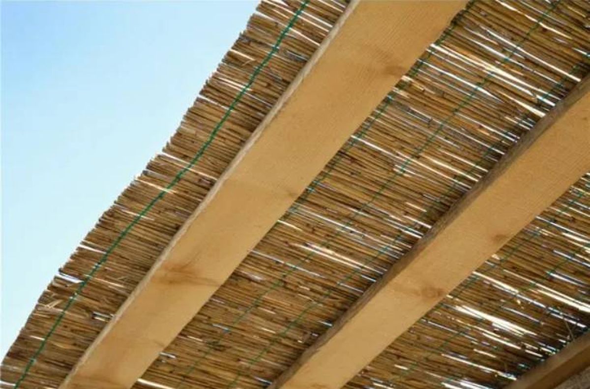 cañizo para pergola leroy merlin