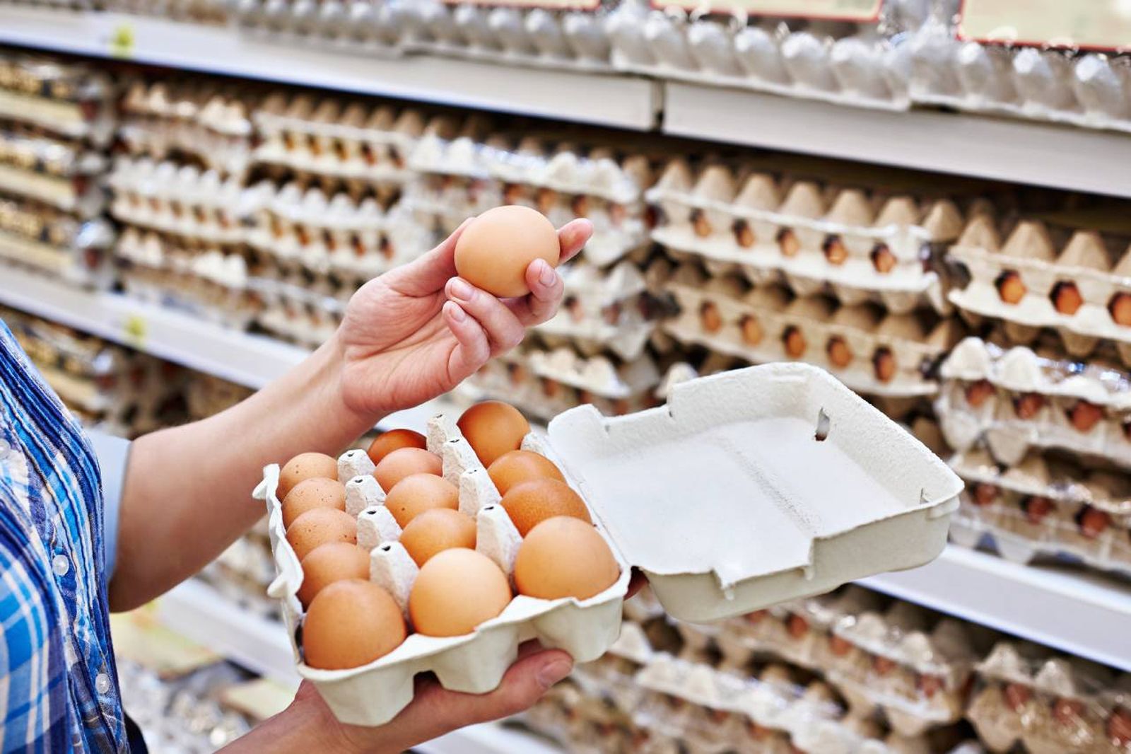 Los mejores huevos frescos de supermercado según la OCU