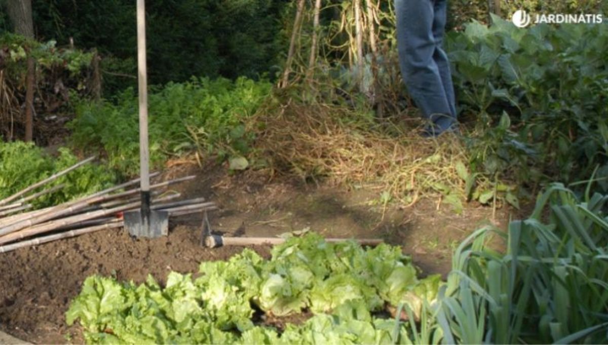 Planifica previamente los cultivos