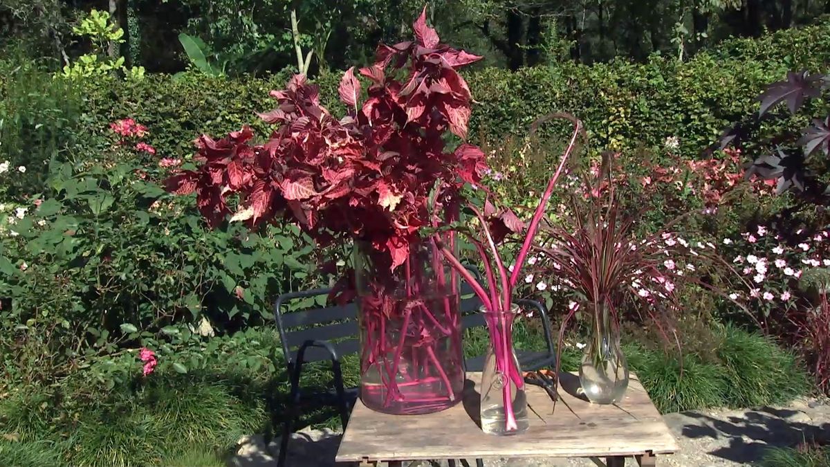 deko0706 jardin otono tonos rosas composicion floral detalle