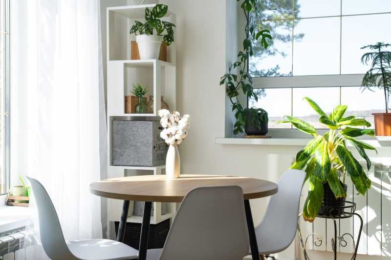 Comedor pequeño decorado con plantas.