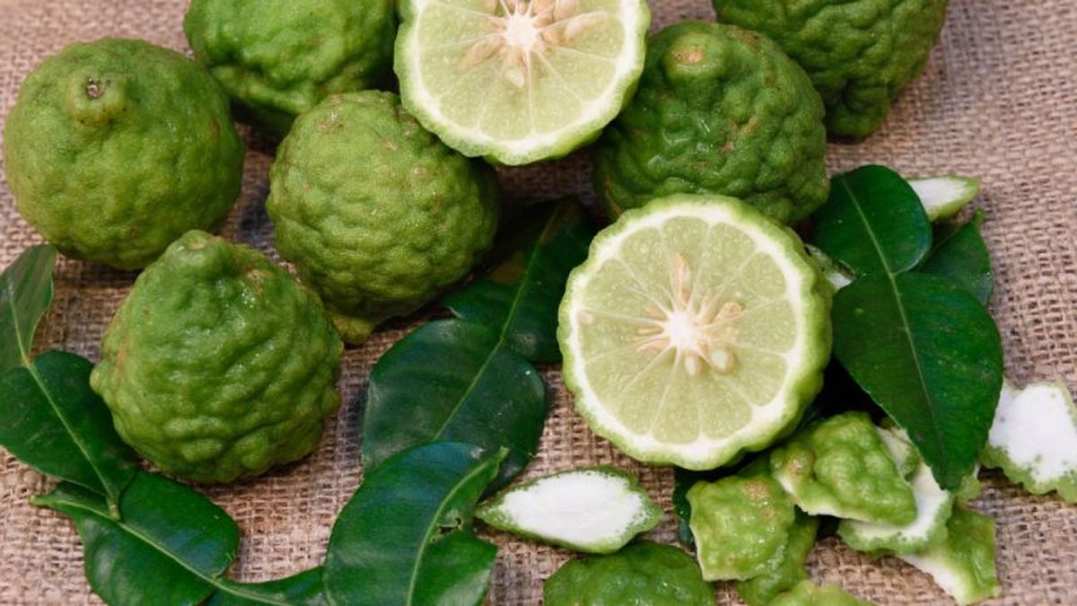 Lima kaffir