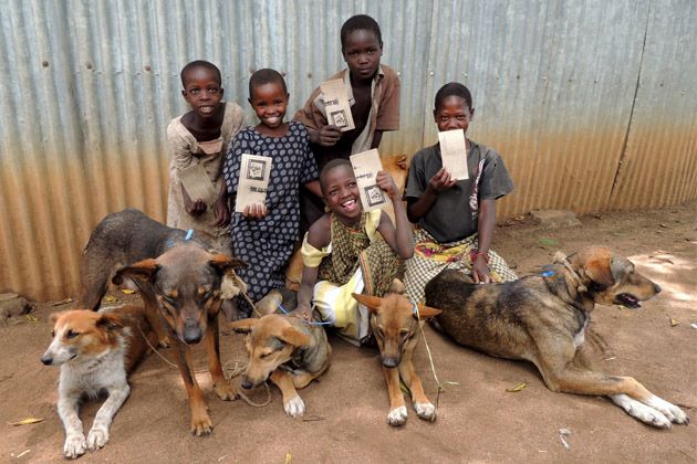 rabia animales5