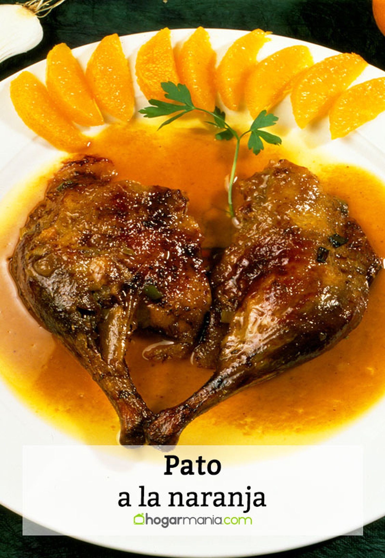 016 1 pato naranja pin