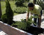 jardinera p04