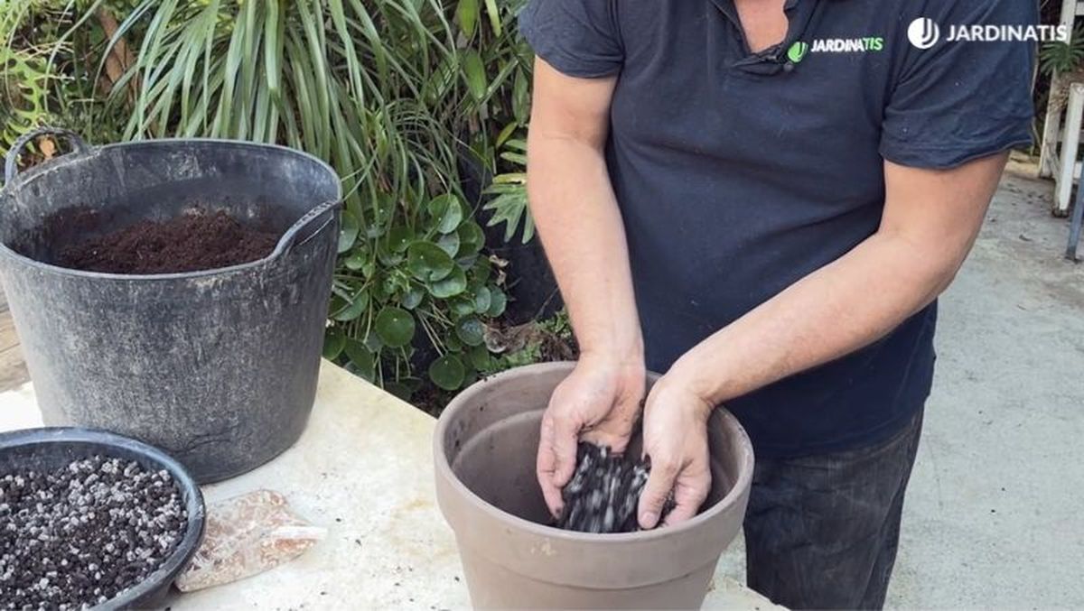 Abono en el fondo del tiesto