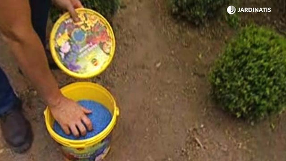 abono tras la poda del boj brico 470