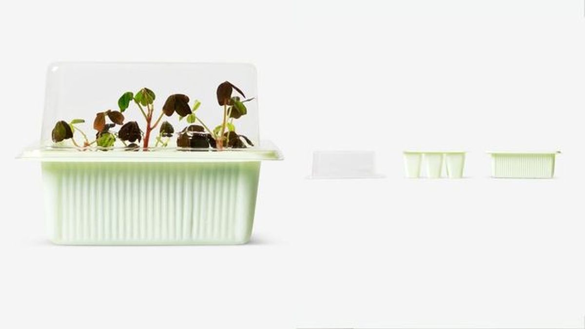 bandeja de semillas flyingtiger