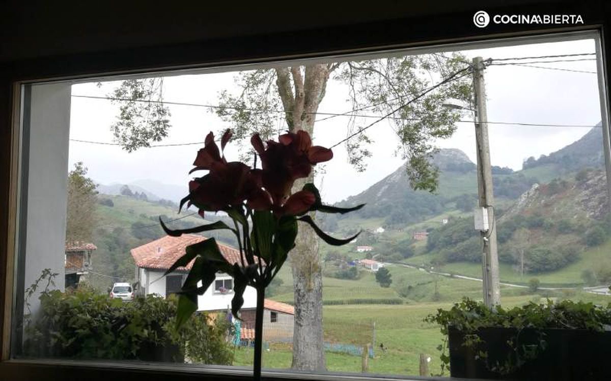 El verde paisaje asturiano desde una de las mesas de Casa Marcial