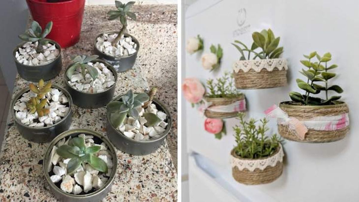 lata de atun plantas maceta reciclada