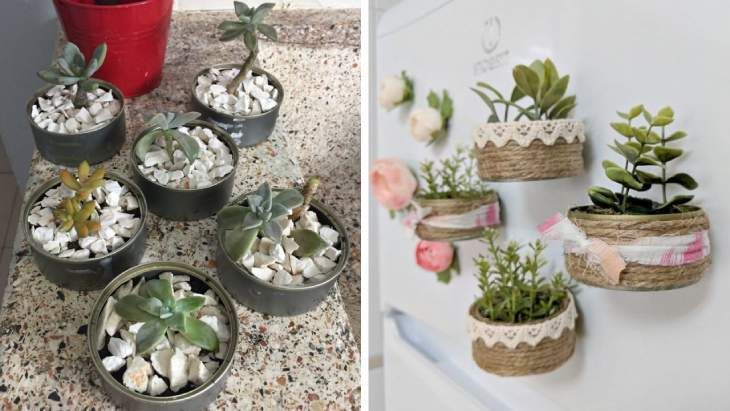 lata de atun plantas maceta reciclada