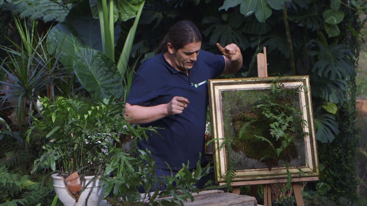 brico 1018 jardin helecho Polypodium