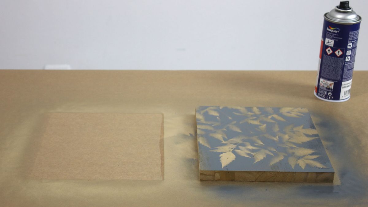 Cómo hacer cuadros con hojas y pintura paso 4