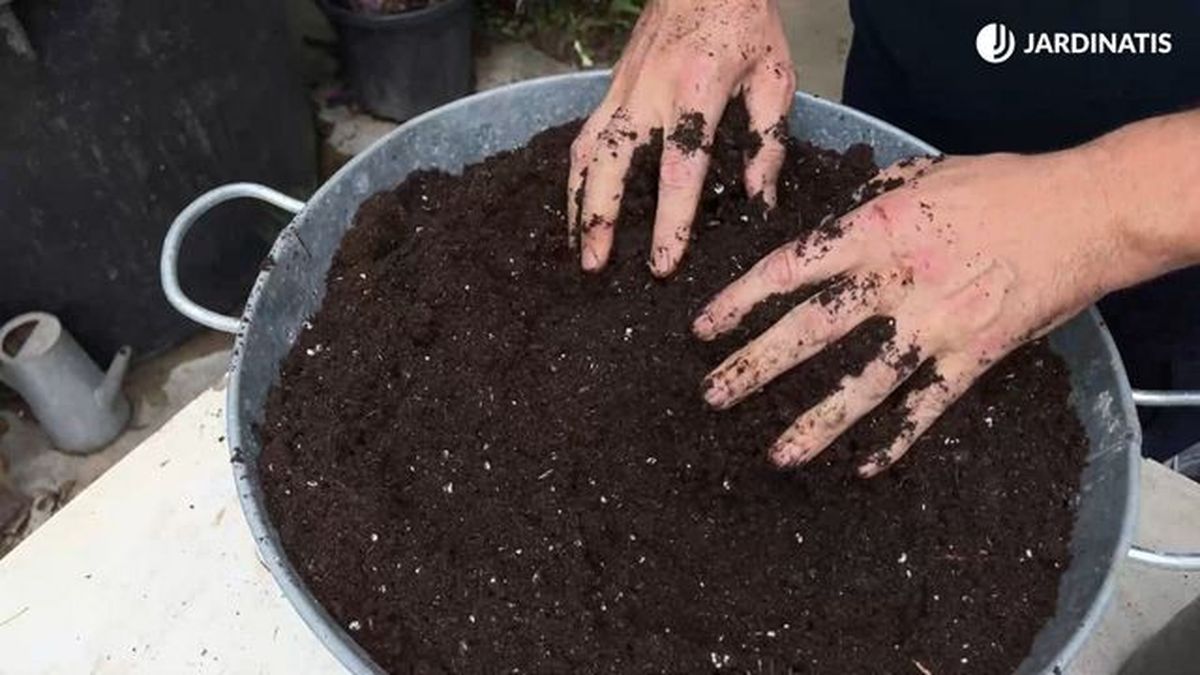 sustrato organico pensamientos jardinatis 22 25