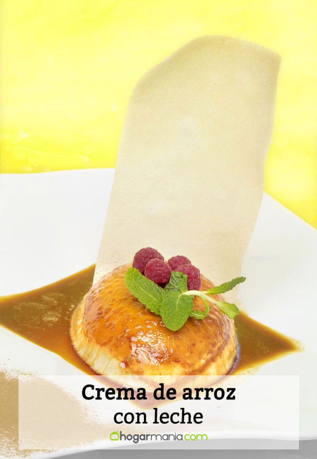 crema arroz leche pin