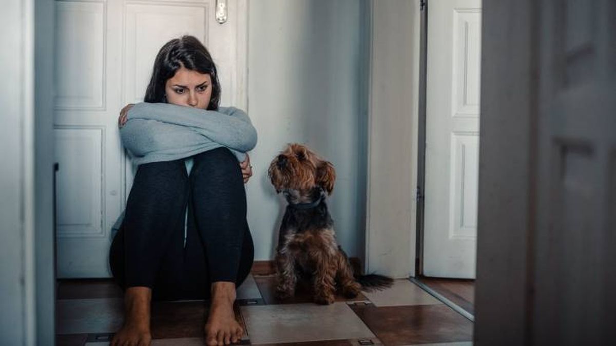 puede perros oler miedo cambios fisiologicos