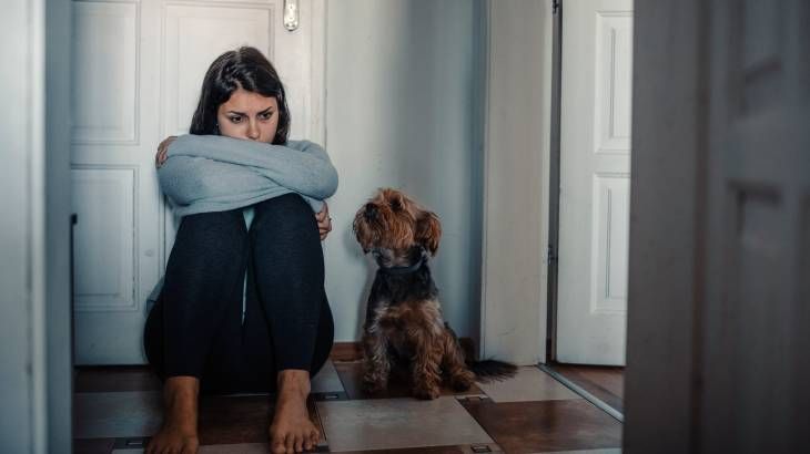 puede perros oler miedo cambios fisiologicos