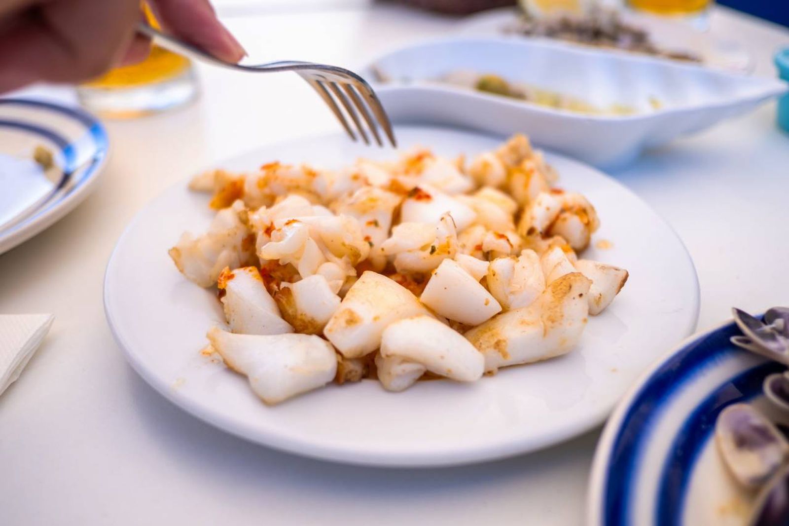 Truco para que la sepia quede tierna