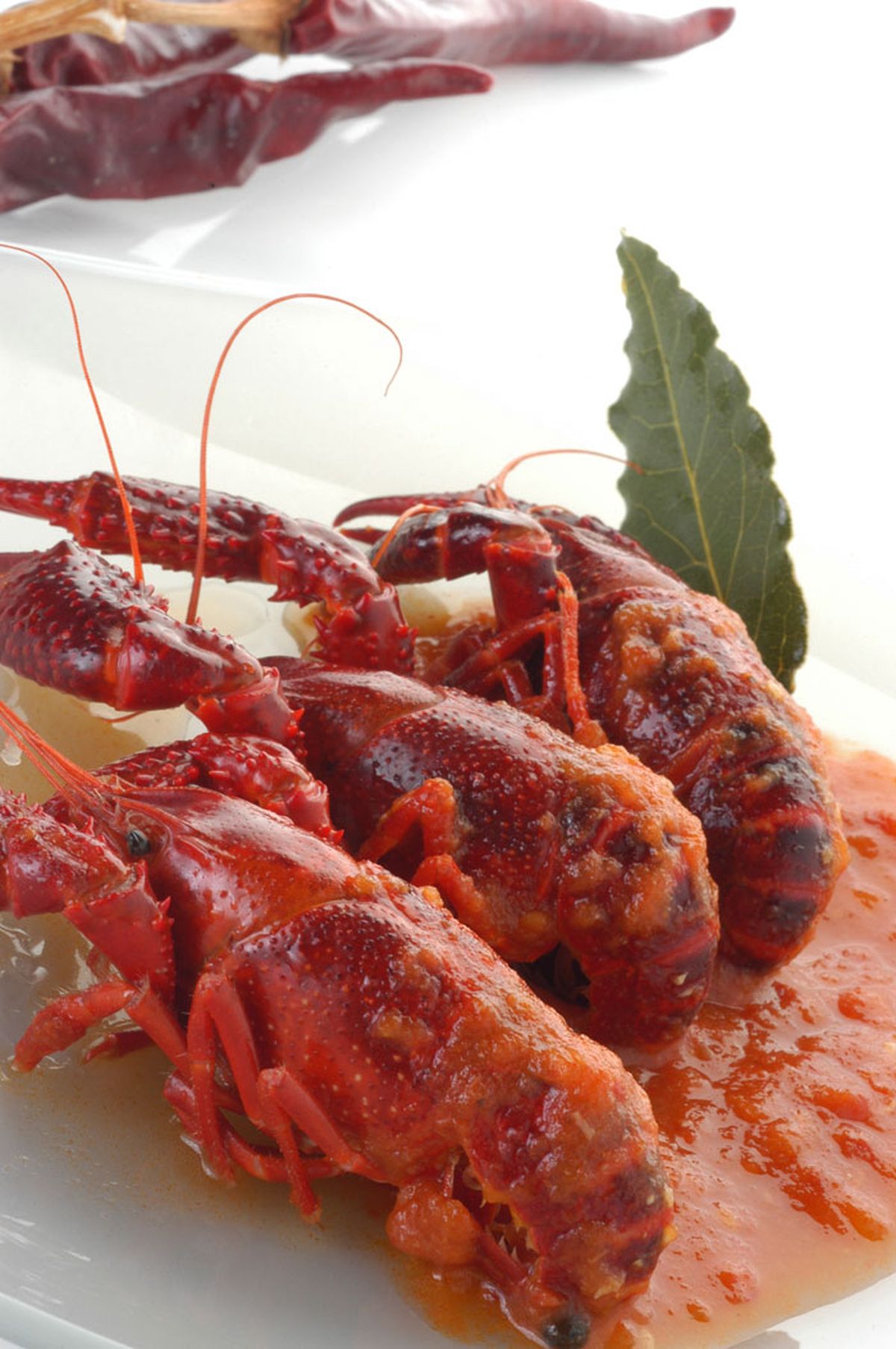 Cangrejos de río a la riojana