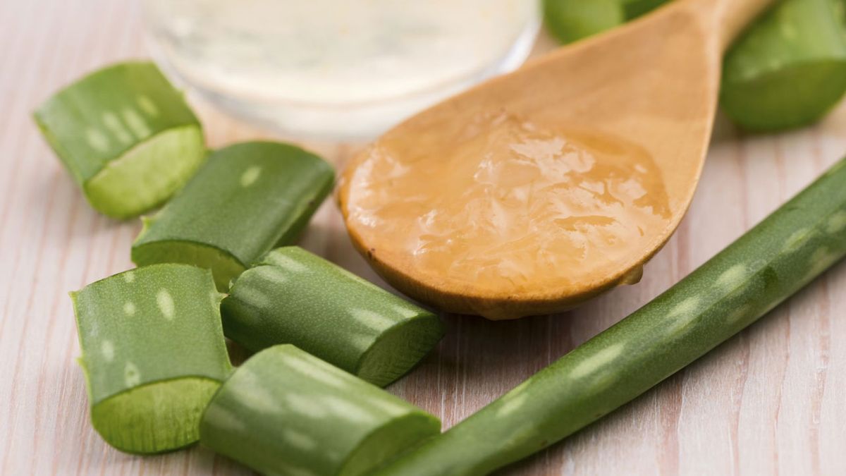 aloe vera remedio