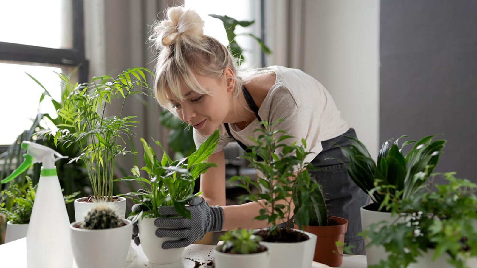 errores comunes que todo jardinero principiante deberia evitar