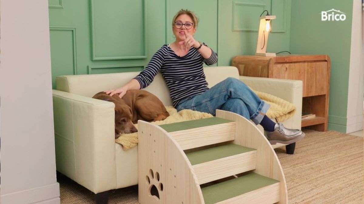 Escalera para perros