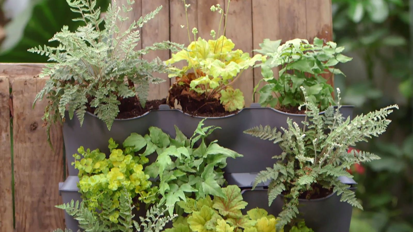 brico 955 3 jardin vertical pared norte xl