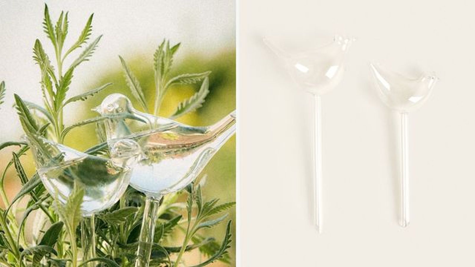 burbuja de autoriego borosilicato pajaro