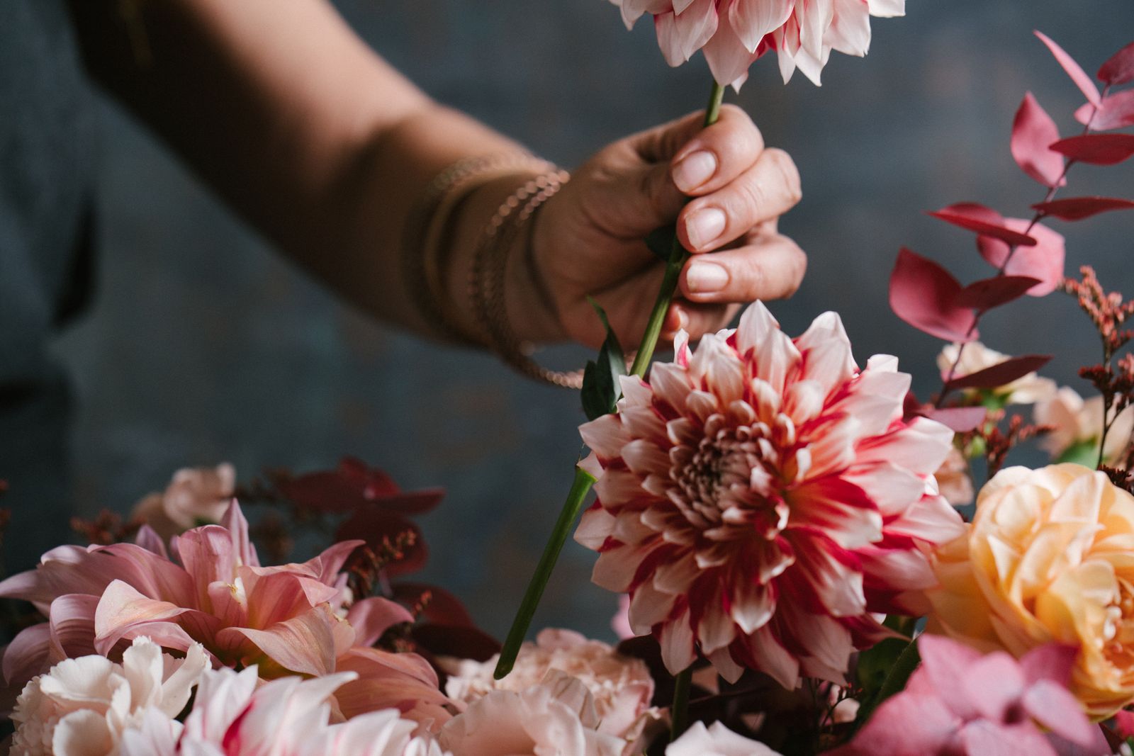 dalias origen mexicano xl