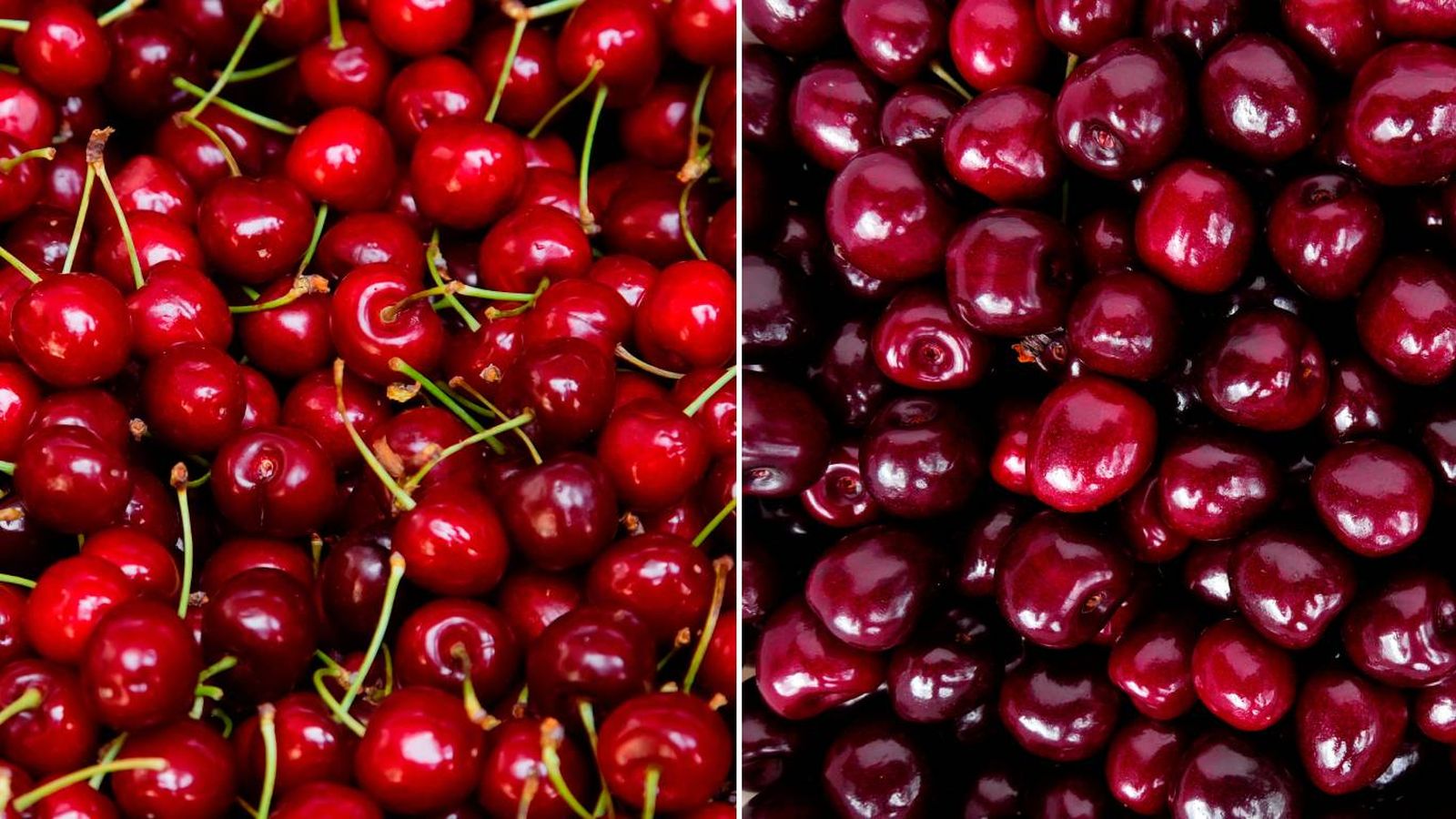 diferencia entre cerezas y picotas