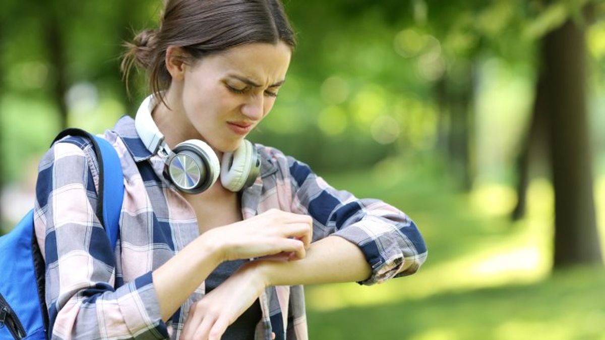 que pasaria si desaparecieran los mosquitos 12