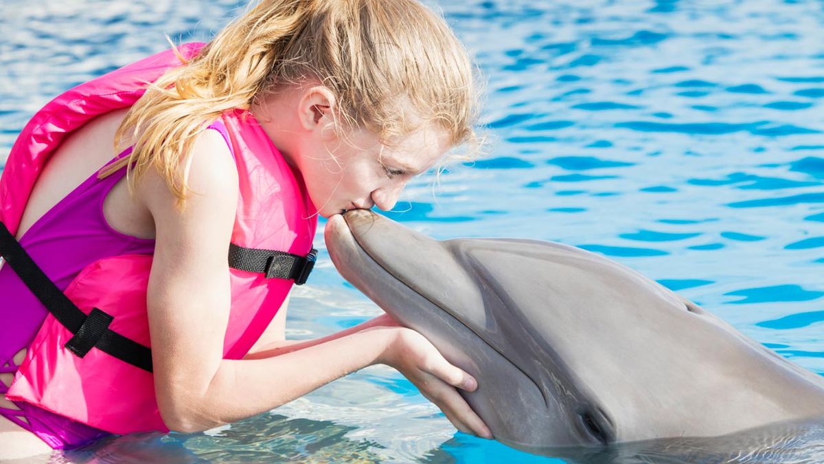 animales adecuados terapia asistida 6