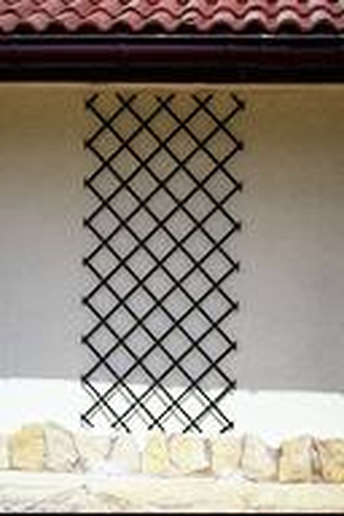 colocar celosia enredaderas p5