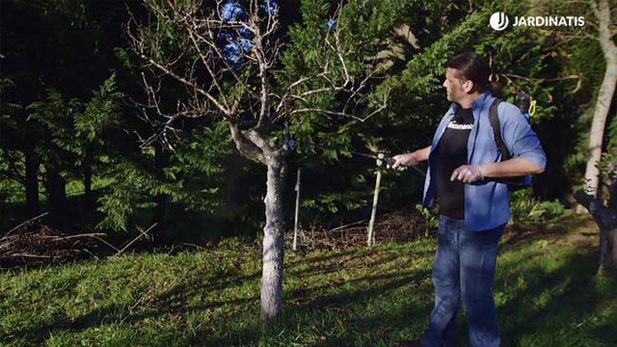 Brico jardin 895 Como proteger frutales en invierno inigo