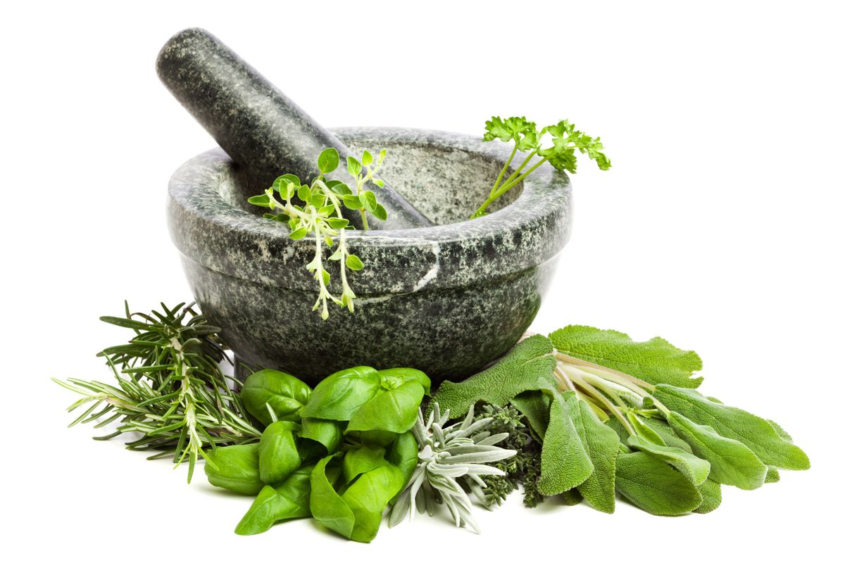 Plantas aromáticas dulces y de limón