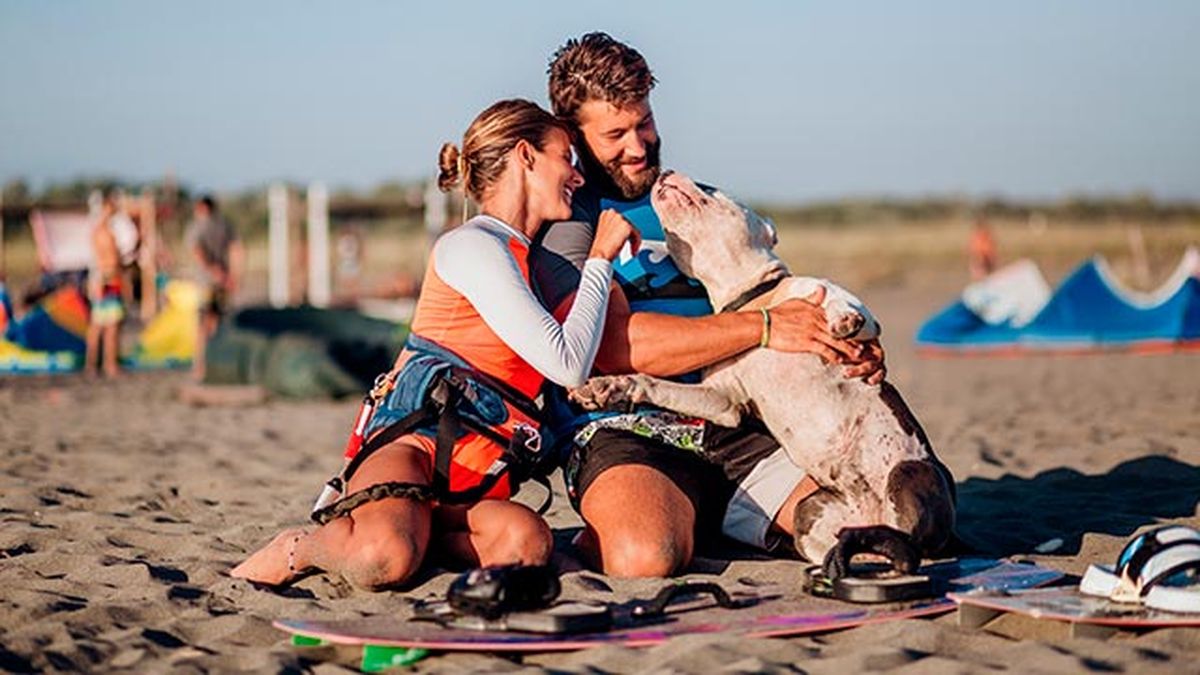 planes perros verano 4 playa