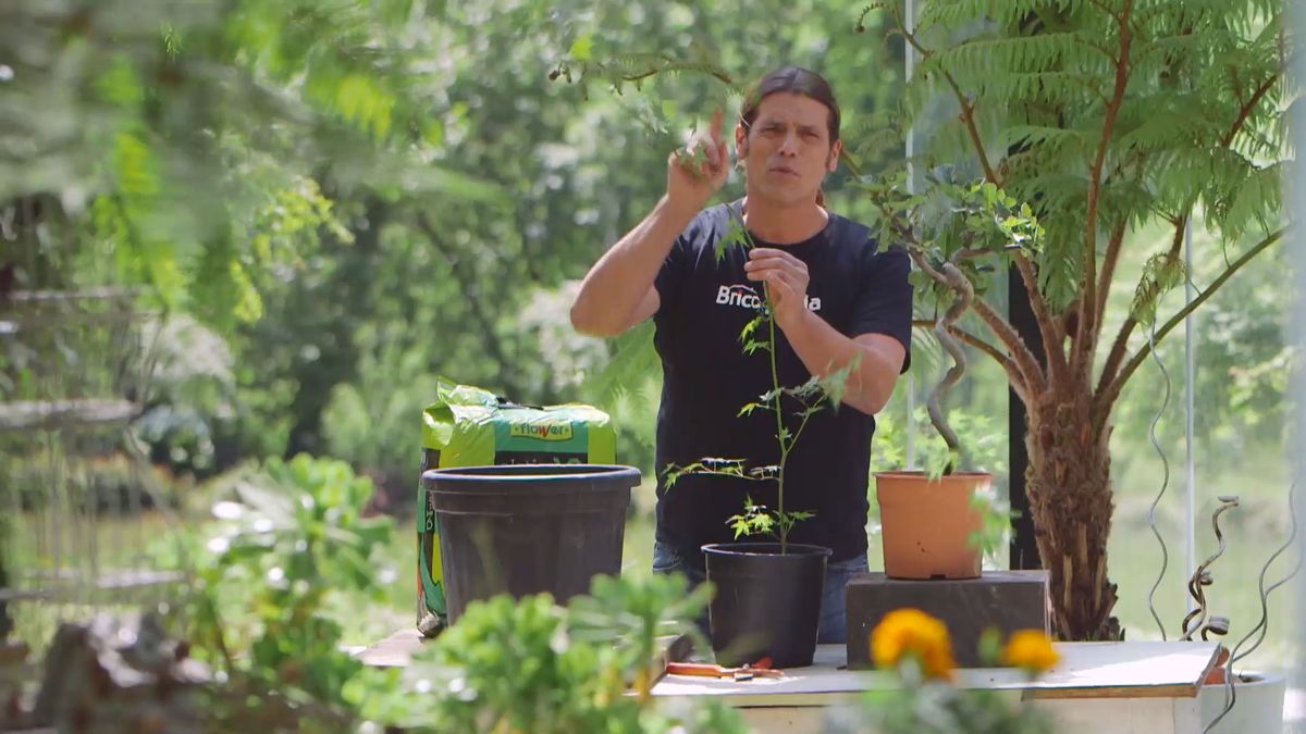 brico 915 3 tronco espiral tallo maleable