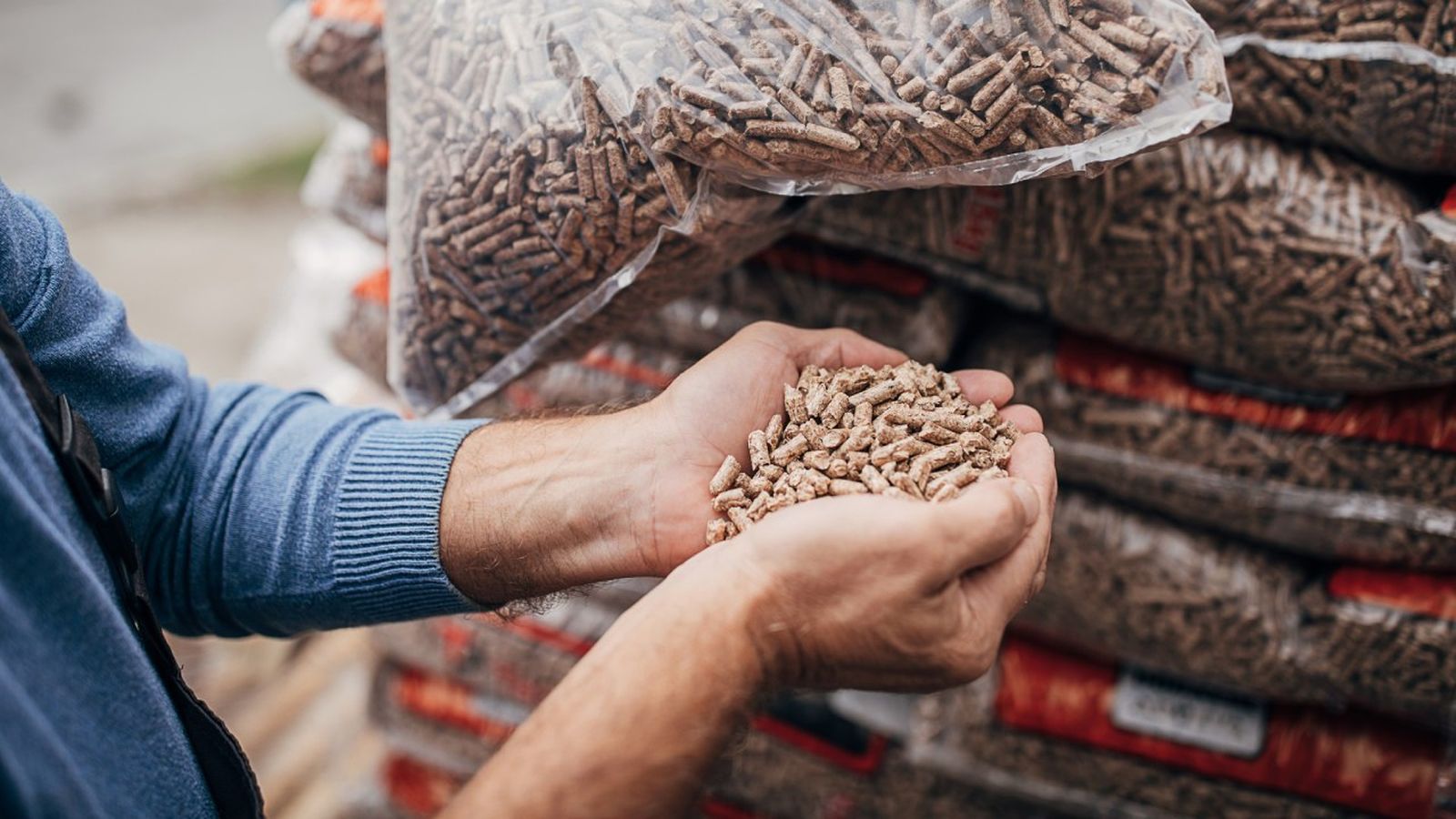 pellet de madera el combustible mas barato para calentar la casa